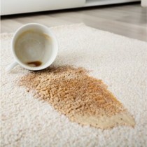 Coffee and Food Stain Removal