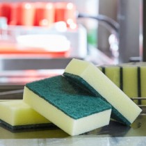 Cleaning Sponges
