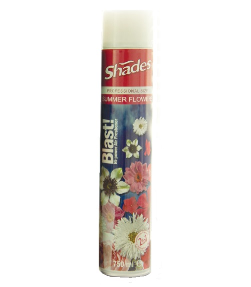Blast! Hi Power Air Freshener 750ml SUMMER FLOWERS (single)